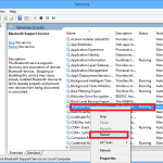 Service Speaker Bluetooth