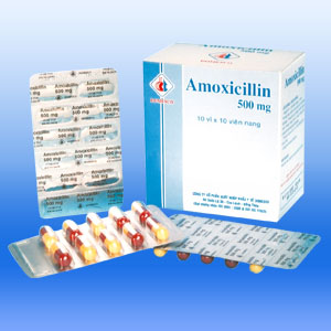 Amoxicillin Trihydrate 500 Mg Untuk Obat Apa