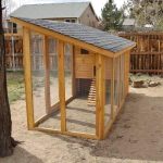 Desain Kandang Ayam Petelur Rumahan Desain Kandang Ayam Petelur Rumahan