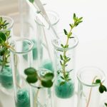 Macam Macam Tanaman Obat Dan Khasiatnya