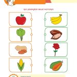 Tema Tanaman Hias Untuk Anak Paud