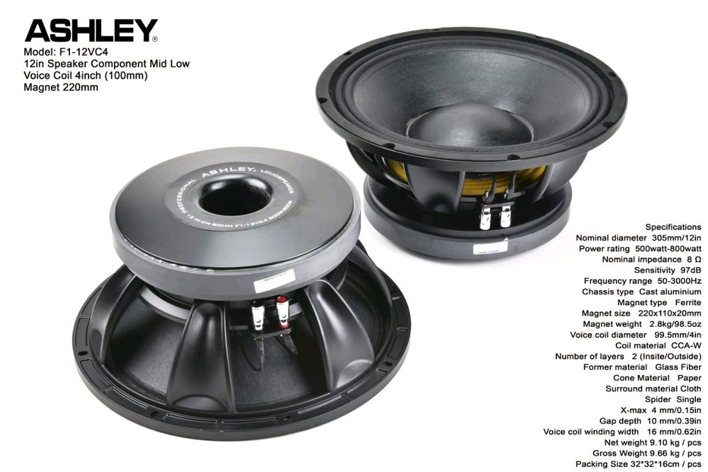 Speaker Ashley 12 Inch