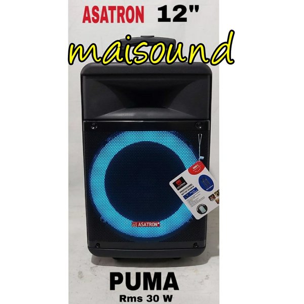 Speaker Asatron 12 Inch Speaker Asatron 12 Inch