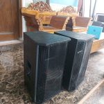 Model Box Speaker 10 Inch