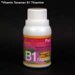 Obat Vitamin B1 Obat Vitamin B1