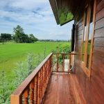 Desain Rumah Pinggir Sawah Desain Rumah Pinggir Sawah