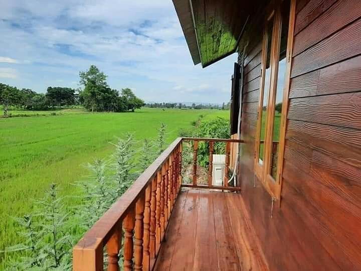 Desain Rumah Pinggir Sawah Desain Rumah Pinggir Sawah