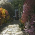 Desain Taman Anggrek Di Rumah