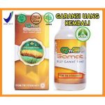 Obat Congek Obat Congek