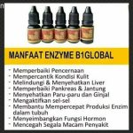 Obat B1