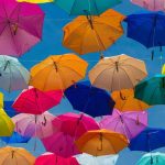 Tuliskan Fungsi Utama Dan Fungsi Sekunder Lembaga Asuransi