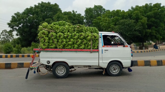 Harga Mobil Pick Up Bekas Dibawah 50 Juta
