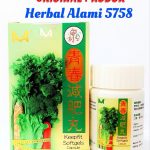 Obat Pelangsing Herbal