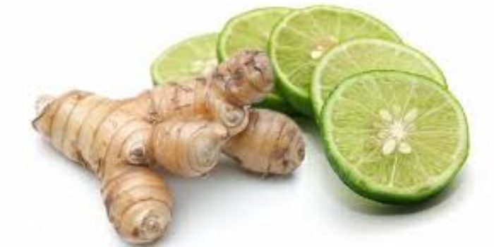 Obat Obatan Tradisional Dan Cara Membuatnya Obat Obatan Tradisional Dan Cara Membuatnya