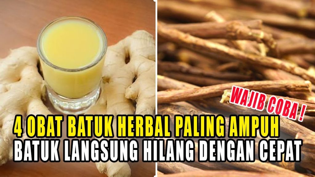 Obat Herbal Sesak Nafas Dan Batuk Obat Herbal Sesak Nafas Dan Batuk