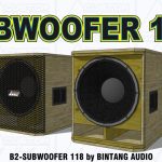 Skema Box Speaker Subwoofer