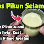 Obat Pikun Obat Pikun