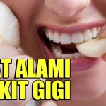 Cara Mengatasi Sakit Gigi Berlubang Cara Mengatasi Sakit Gigi Berlubang