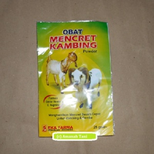 Obat Kambing Mencret Obat Kambing Mencret