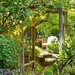 Desain Kebun Buah Belakang Rumah