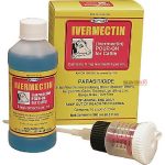 Ivermectin Obat