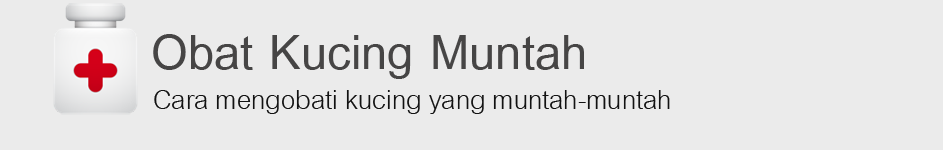 Obat Untuk Kucing Muntah