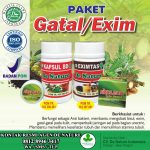 Obat Gatal Kulit Di Apotek