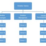 Struktur Organisasi Asuransi Bintang