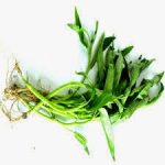 Sakit Gigi Berlubang Apa Obatnya