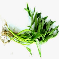 Sakit Gigi Berlubang Apa Obatnya