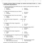 Soal Ips Kelas 5 Semester 2 Soal Ips Kelas 5 Semester 2