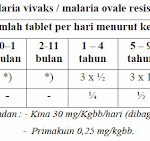 Pengobatan Malaria