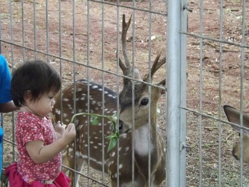 Wisata Di Cikampek Wisata Di Cikampek