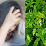 Obat Vertigo Paling Ampuh