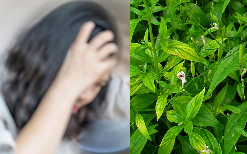 Obat Vertigo Paling Ampuh Obat Vertigo Paling Ampuh