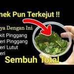 Obat Tradisional Sakit Pinggang