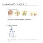 Contoh Soal Pewarisan Sifat Dan Pembahasannya Contoh Soal Pewarisan Sifat Dan Pembahasannya