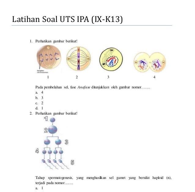 Contoh Soal Pewarisan Sifat Dan Pembahasannya