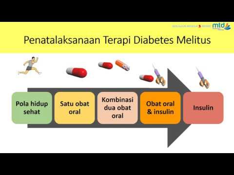 Pengobatan Diabetes Melitus