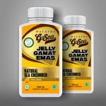 Obat Tradisional Tipes