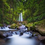 Wisata Jumog Karanganyar