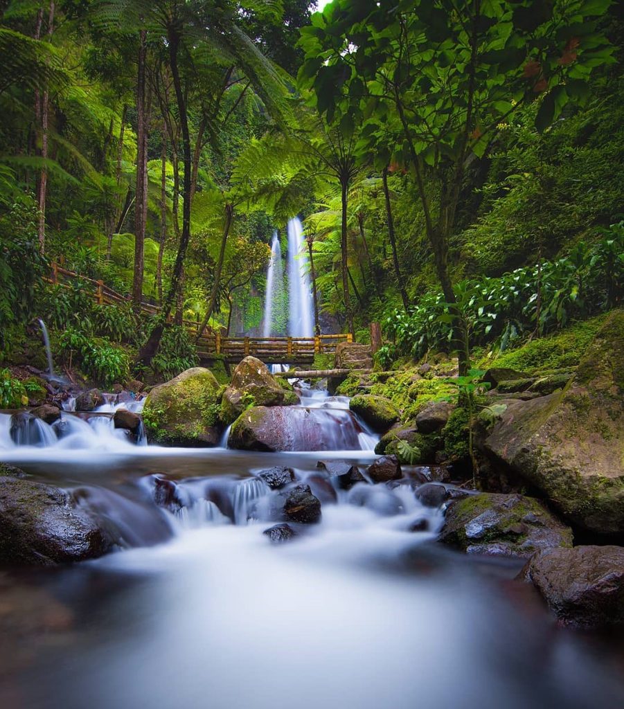 Wisata Jumog Karanganyar Wisata Jumog Karanganyar