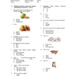 Soal Agama Kelas 1 Sd