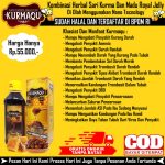 Obat Naikin Trombosit