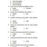 Soal Ips Kelas 1 Sd