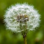 Cara Membuat Vlog Di Hp Cara Membuat Vlog Di Hp