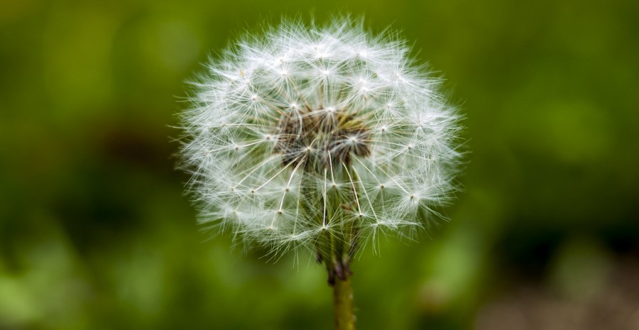 Cara Membuat Vlog Di Hp