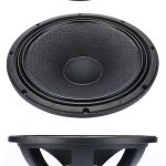 Speaker Advance 10 Inch