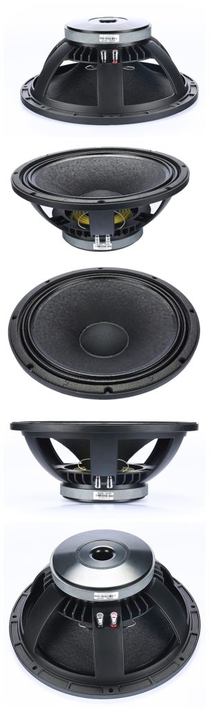 Speaker Advance 10 Inch Speaker Advance 10 Inch