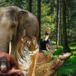 Wisata Kebun Binatang Terdekat